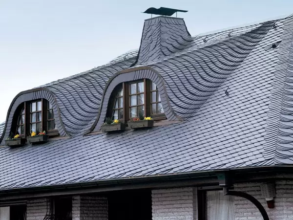 новиє-криши новиє-криши